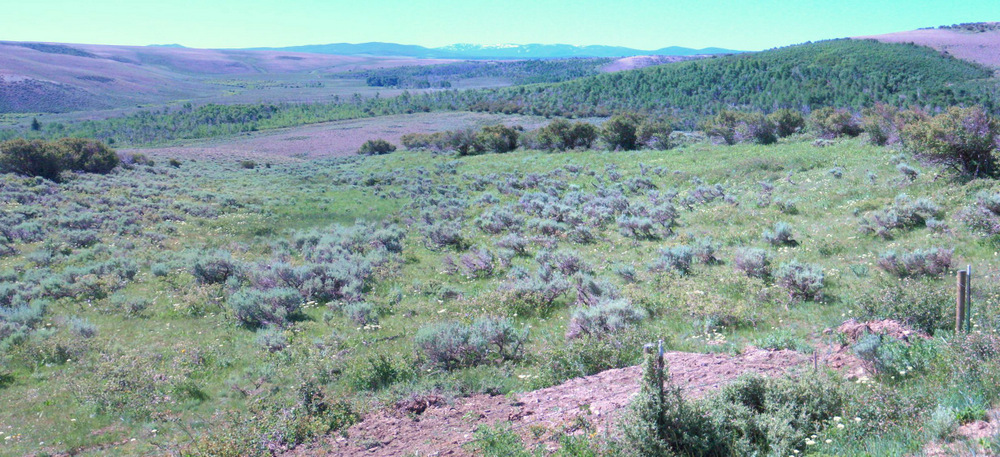 Sage Creek Basin.